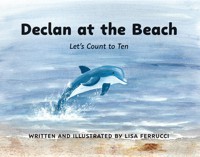 Declan at the Beach - Lisa Ferrucci - ebook