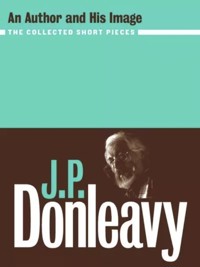 An Author and His Image - J.P. Donleavy - ebook