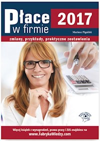 Place w firmie 2017 Zmiany, przykłady, praktyczne zestawienia - Mariusz Pigulski - książka