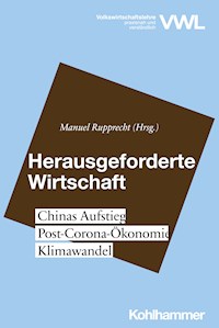 Herausgeforderte Wirtschaft -  - ebook