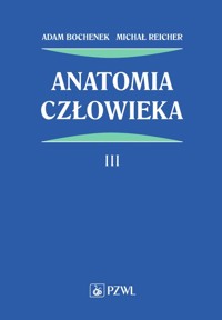 Anatomia człowieka Tom 3 - Bochenek Adam, Reicher Michał - książka