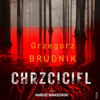 Chrzciciel - Grzegorz Brudnik - ebook + audiobook + książka