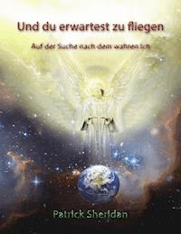 Und du erwartest zu fliegen - Patrick Sheridan - ebook