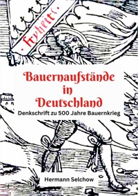 Bauernaufstände in Deutschland - Hermann Selchow - ebook