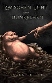 Zwischen Licht und Dunkelheit - Hagen Thiele - ebook