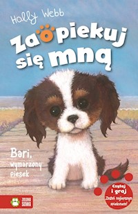 Zaopiekuj się mną Bari wymarzony piesek Tom 33 - Holly Webb - książka