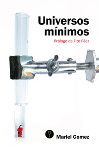 Universos mínimos - Mariel Gomez - ebook