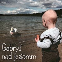 Gabryś nad jeziorem - Starok Agnieszka - książka