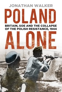 Poland Alone - Walker Jonathan - ebook