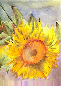 Anmerkungen zur jarganischen Schöpfungslehre. - D.Dere - ebook