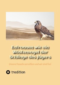 Entronnen wie ein Wüstenvogel der Schlinge des Jägers - Stefan Thiel - ebook