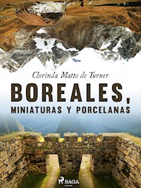 Boreales, miniaturas y porcelanas - Clorinda Matto de Turner - ebook