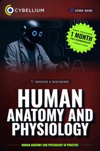 Human Anatomy and Physiology - Cybellium - ebook