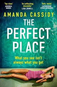 The Perfect Place - Cassidy Amanda - książka