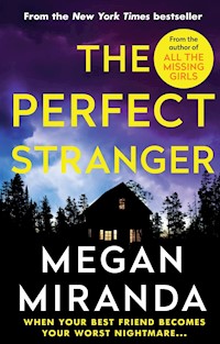 The Perfect Stranger - Megan Miranda - ebook