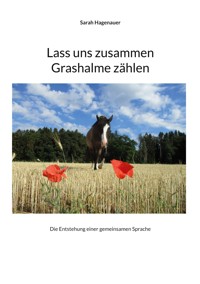Lass uns zusammen Grashalme zählen - Sarah Hagenauer - ebook