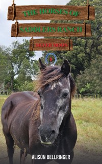 The Horses of Saddlers Ranch: Silver Moon - Alison Bellringer - ebook