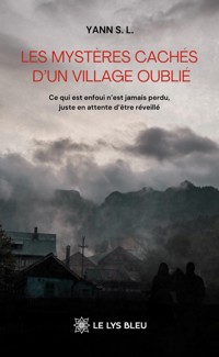 Les mystères cachés d’un village oublié - Yann S. L. - ebook