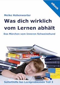 Was dich wirklich vom Lernen abhält - Meike Hohenwarter - ebook