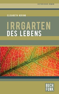 Irrgarten des Lebens - Elisabeth Hering - ebook