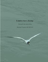 Limites hors champ - Michel Francis Bureau - ebook