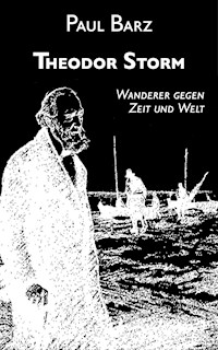 Theodor Storm - Paul Barz - ebook
