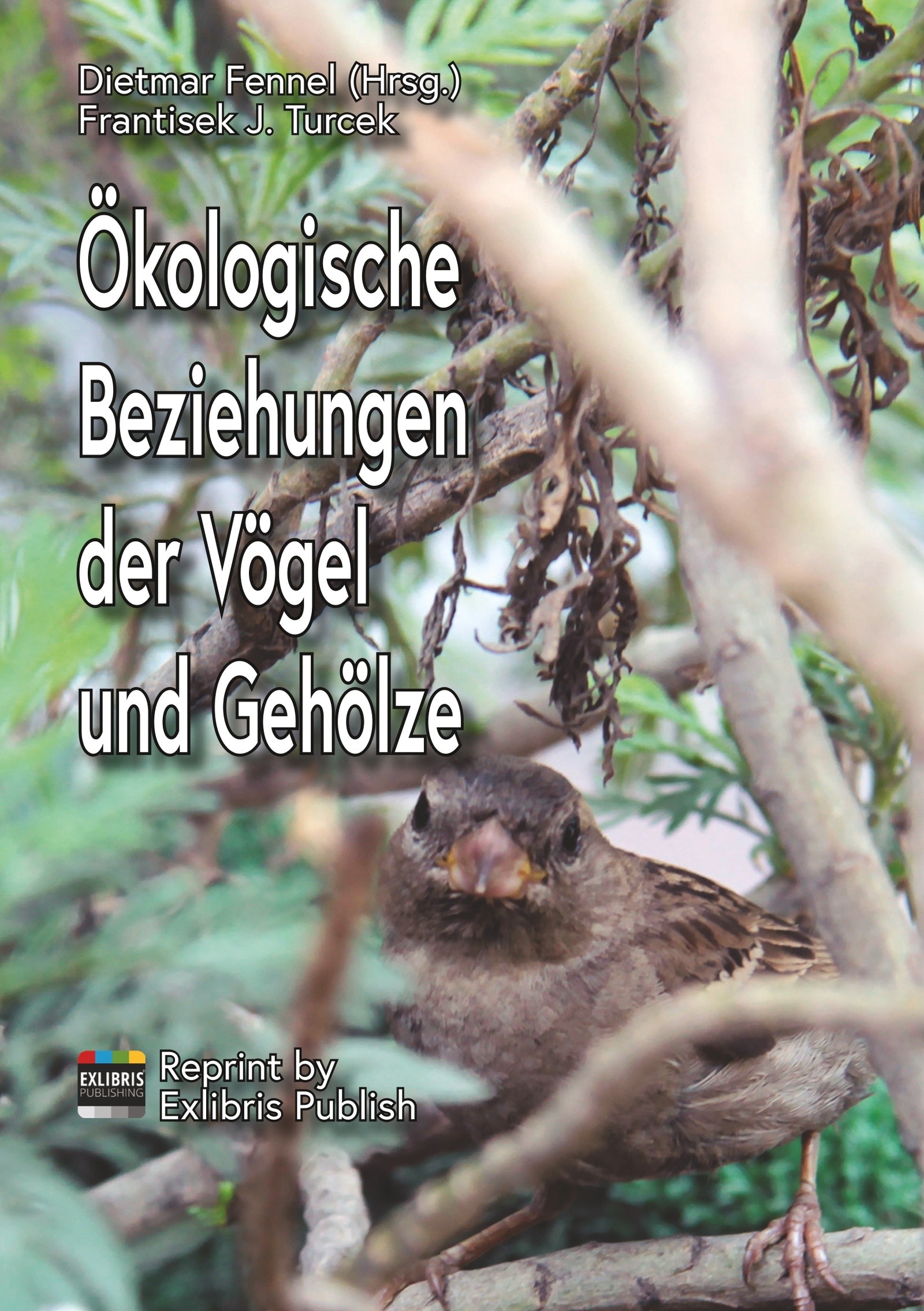 Ökologische Beziehungen der Vögel und Gehölze