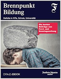 Brennpunkt Bildung - Frankfurter Allgemeine Archiv - ebook