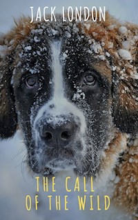 The Call of the Wild: The Original Classic Novel - Jack London - ebook