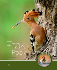 Ptaki Polski Tom 1 - Kruszewicz Andrzej G. - książka