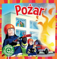 Pożar Jestem bezpieczny - Katarzyna Moryc - książka