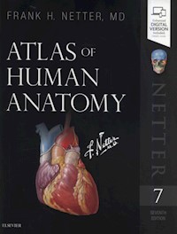 Atlas of Human Anatomy 7th Edition - Netter Frank H. - książka