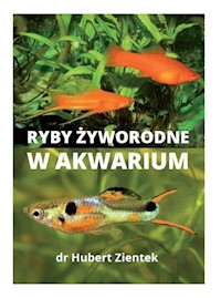 Ryby żyworodne w akwarium - Zientek Hubert - książka