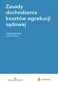 Zasady dochodzenia kosztów egzekucji sądowej -  - książka