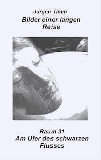 Raum 31 Am Ufer des schwarzen Flusses - Jürgen Timm - ebook