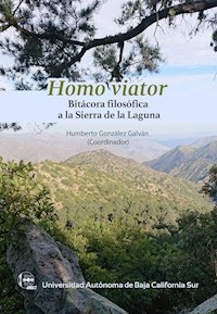 Homo viator - Humberto González Galván - ebook