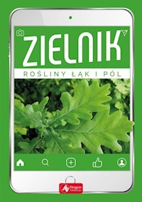Zielnik -  - książka
