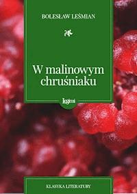 W malinowym chruśniaku - Bolesław Leśmian - darmowy ebook