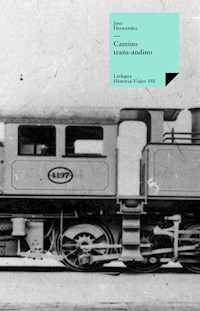 Camino trans-andino - José Hernández - ebook