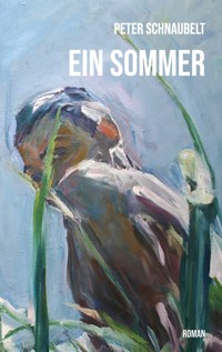 Ein Sommer - Peter Schnaubelt - ebook