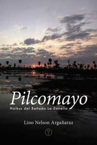 Pilcomayo - Lino Nelson Argañaraz - ebook