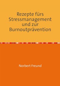 Rezepte für Stressmanagement und zur Burnoutprävention - Norbert Freund - ebook
