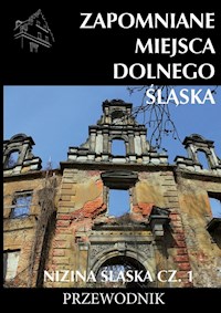 Zapomniane miejsca Dolnego Śląska Nizina śląska Część 1 - Jagiełło Jakub - książka