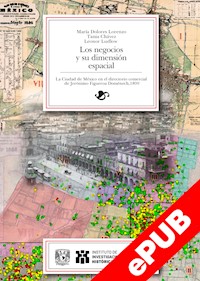 Los negocios y su dimensión espacial - María Dolores Lorenzo - ebook