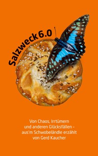 Salzweck 6.0 - Gerd Kaucher - ebook