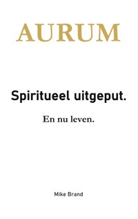 Spiritueel uitgeput - Mike Brand - ebook