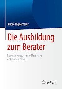 Die Ausbildung zum Berater - André Niggemeier - ebook