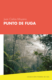 Punto de fuga - Juan Carlos Moyano Ortiz - ebook