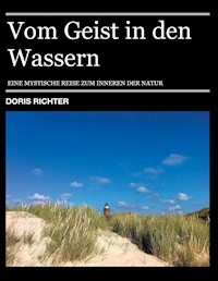 Vom Geist in den Wassern - Doris Richter - ebook
