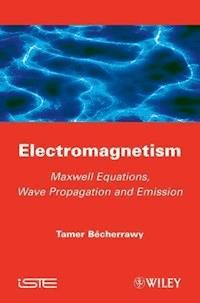 Electromagnetism - Tamer Becherrawy - ebook